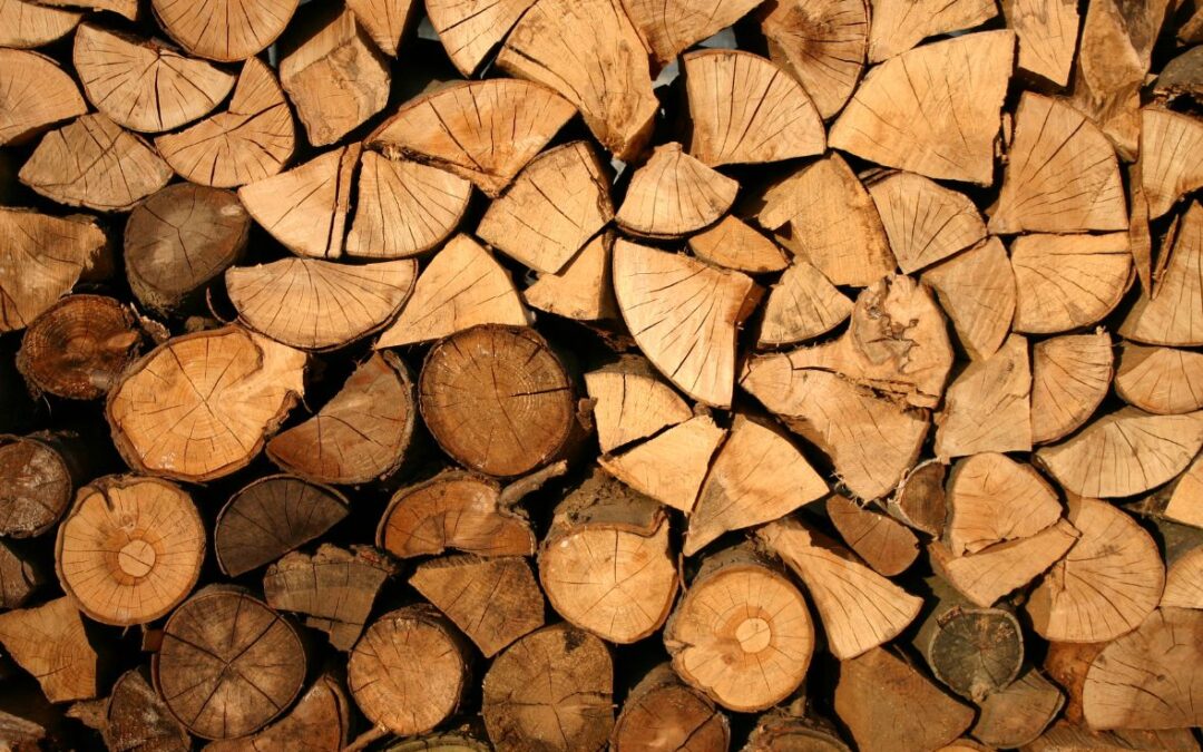 Todo lo que necesitas saber para comprar leña de encina