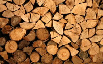 Todo lo que necesitas saber para comprar leña de encina