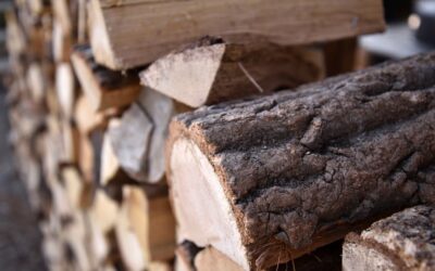 Todo lo que necesitas saber para comprar leña de roble
